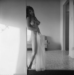 Michelle Angelo 60s Pinup 007.jpg