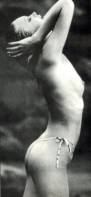 Cheryl Tiegs - Supermodel - 46.jpg