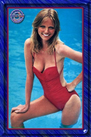 Cheryl Tiegs (5).jpg
