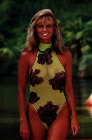 cheryl_tiegs9.jpg