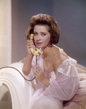 Elizabeth Ashley -mhau3qdLx31s011meo1_640.jpg