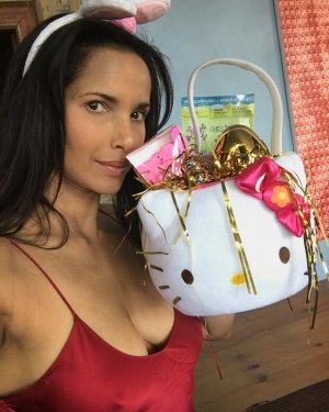 Padma Lakshmi 1000053497.jpg