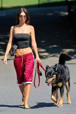 balcredwlakt (4).jpg