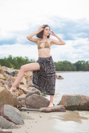 brunette-seductress-dakota-a-presents-her-perfect-naked-body-on-the-beach-01 thefappeningblog....jpg