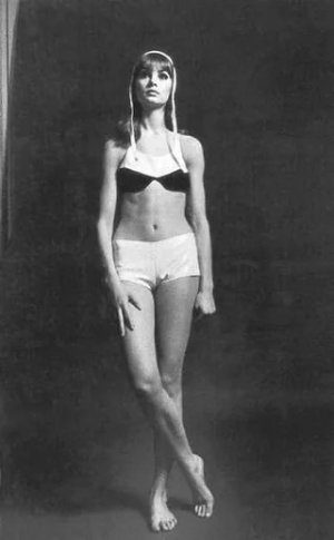 jean-shrimpton-1960s-v0-y7oq2yrh3i7f1.jpeg