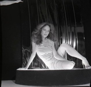 Catherine Bach -Okz445rfbfUS1s7ovwxo1.jpg