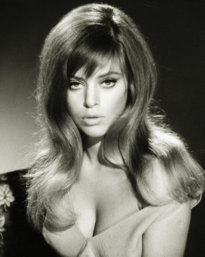 Edina Ronay Hammer Glamour -pl7bajeA3T1uxpcvmo1.jpg