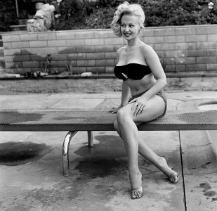 Greta Thyssen  -e6c5ae9e1f687c99df84dd6ebe446cd6_0bdf3601_1280.jpg