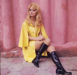 France Anglade  Mvo3cy32IA1qh0yodo1.jpg