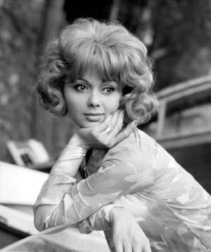 France Anglade -m7y3ymvwZ31qa55qyo1.jpg