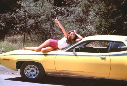 Catherine Bach - Mcqpob442brX1qlfahbo1.jpg