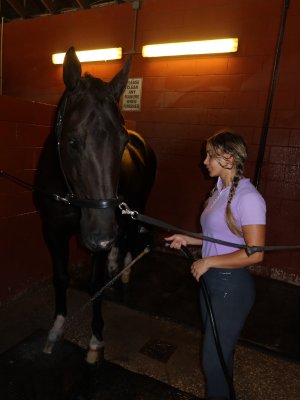 Nhooph Al-Areebi 6040.jpg