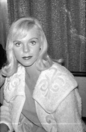 Jenny Maxwell 1960s QH1s2nyi4o1.jpg