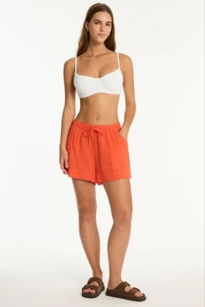 photo_2025-08-16_18-34-58 (4).jpg