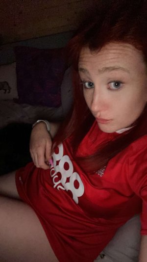 IMG_0093.jpeg IMG_0093.jpeg