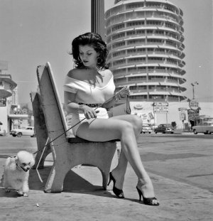 Joan Bradshaw A Friend in Hollywood -niumkyrhpR1qzx4bjo2.jpg