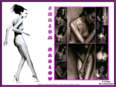 shalom-harlow01.jpg