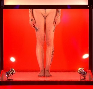 Screenshot_20250828_031600_Video Player.jpg