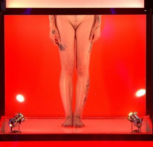 Screenshot_20250828_032154_Video Player.jpg