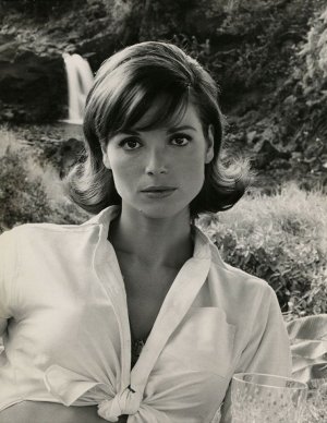 Elsa Martinelli -8c652a6feadc0f2a1ac588db5562cd56 91f9e34c.jpg