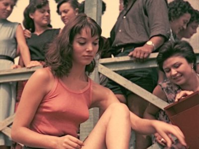 Elsa Martinelli 2568572.jpg