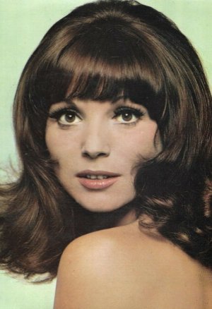 Elsa Martinelli -1799582021ba283fdcf8257e9dd9c18c 0b50e7f9.jpg