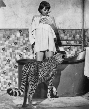 Elsa Martinelli Hatari 1962 - M83474Ccgy1qiflw2o1.jpg