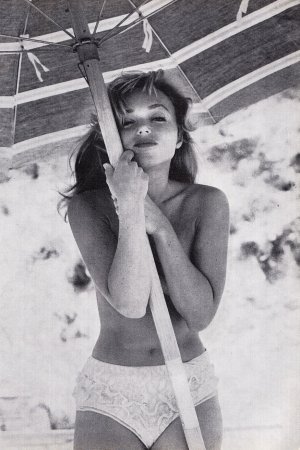 Yvette Vickers (4).jpg