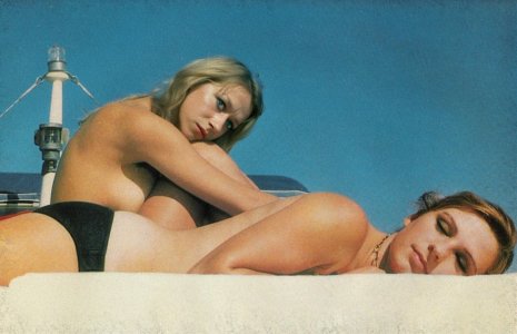 fk orchid 9c8980227251627.jpg fk orchid 9c8980227251627.jpg