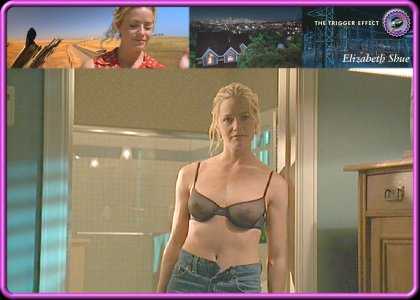 ElizabethShue_TriggerEffect02.jpg