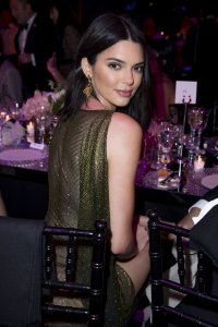 Kendall Jenner See Through - TheFappeningBlog.com 4.jpg