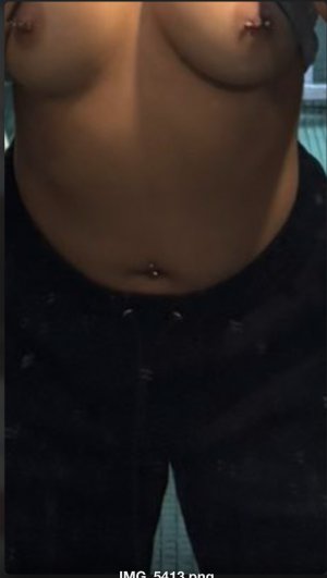 IMG_4335.jpeg IMG_4335.jpeg