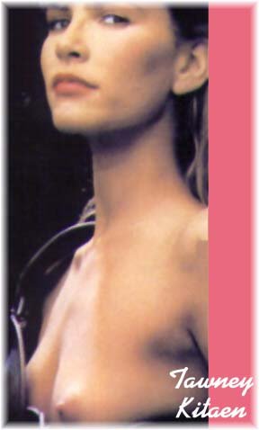 tawny_kitaen009.jpg