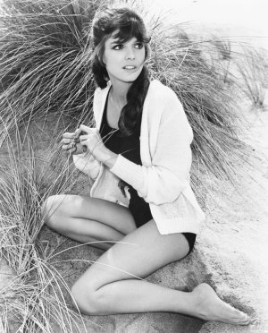 Katharine Ross (4).jpg