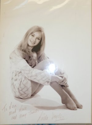 Linda Hayden -wiki 1096537.jpg