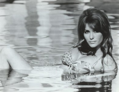 Michele Carey10.jpg