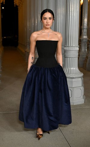 Demi_Lovato_LACMA_ArtFilm_Gala_in_Los_Angeles_1.jpg