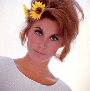 Stefanie Powers 3.jpeg