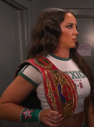 Captura de pantalla 2025-11-08 062247.png