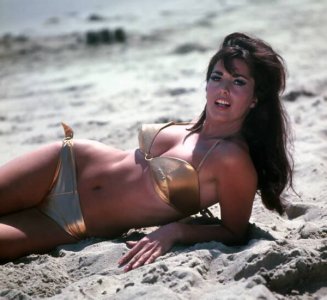 Edy Williams (3).jpg