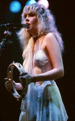 Stevie Nicks 9341bcd86354103063fae0d256a73dfEdf0c5c4.jpg