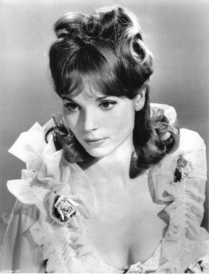 Elsa Martinelli (4).jpeg