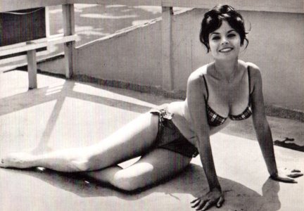 Pascale Petit  -mphoyugxzf1s011meo1.jpg