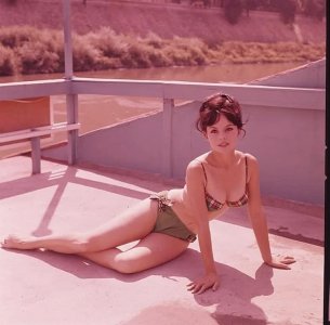 Pascale Petit c1960 5LM-Op4pbFsyUUtj85wRmoyHiwfLy2CHAYYQA6qZH3I.jpg