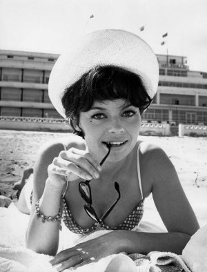 Pascale Petit-rqai1z7fs1qf826yo1.jpg