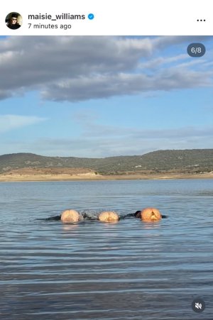 IMG_3482.jpeg IMG_3482.jpeg