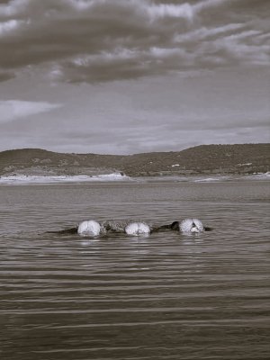 summer is so over but life is still happening in a big way x @suferreri.guesthouse.jpg