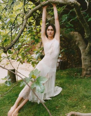 ameliagrayhamlin_3789076798714498572's2025-12-17-11.18.84 story.jpg