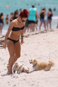 Sharna Burgess Sexy - TheFappeningBlog.com 70.jpg