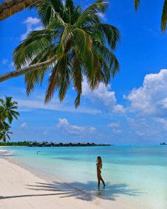 Renee Somerfield Nude & Sexy - TheFappeningBlog.com 10.jpg